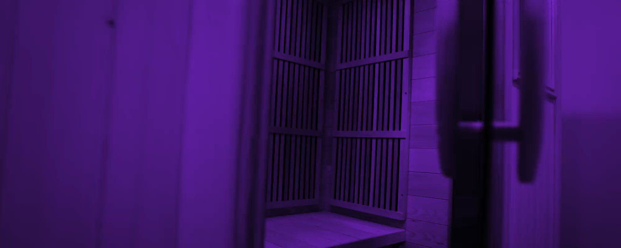 2-Person Infrared Sauna (20 amp)